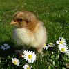 Ostern 2010 016